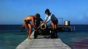 Bringing the cannon down the jetty
